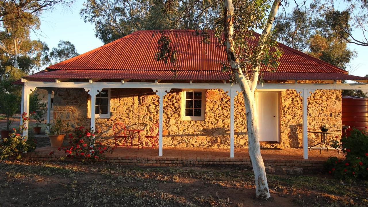 Dempster Cottage Irishtown Exterior foto